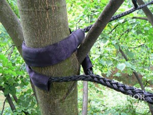 Tree Straightening: Cabling & Bracing Tree Protection